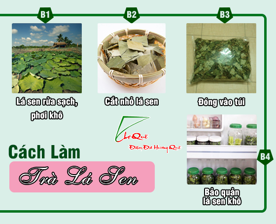 Cách làm trà lá sen giảm cân hiệu quả